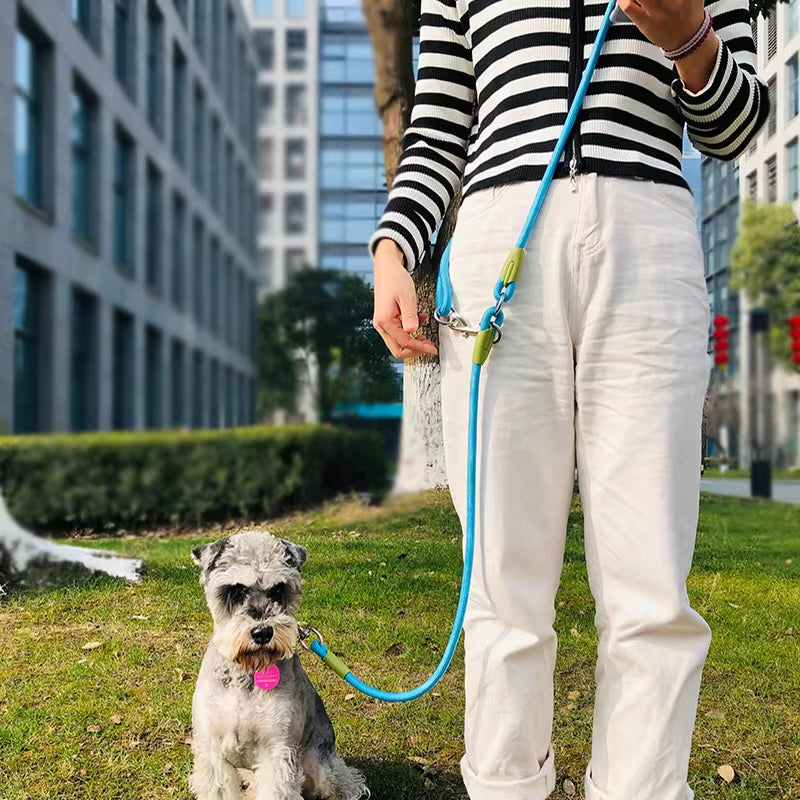 Reflective Hands-Free Dog Leash – Durable Nylon Running & Walking Lead for Dogs
